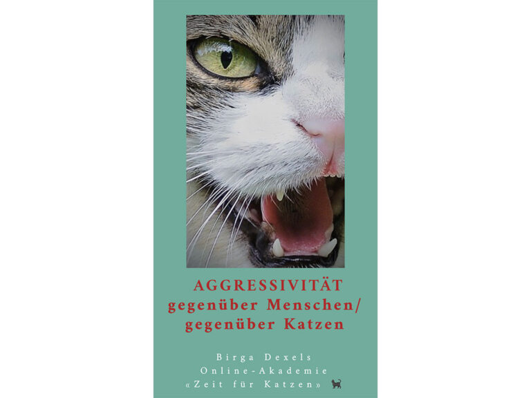 Aggressivität bei Katzen