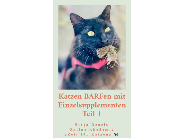 Katzen BARFen für Einsteiger 