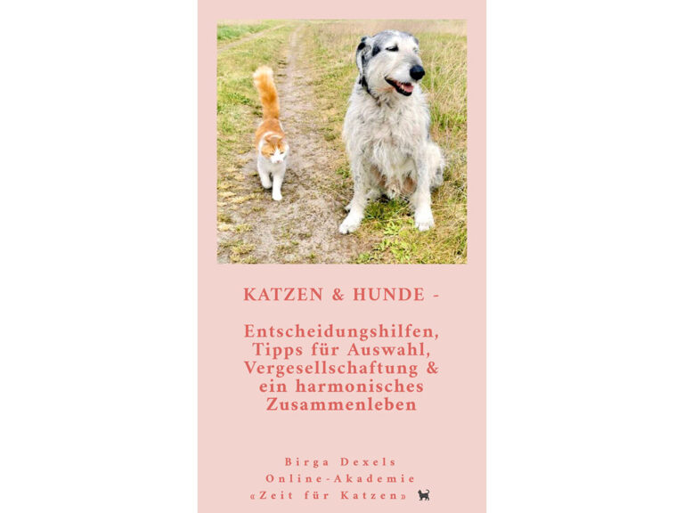 Wie Hund und Katze?