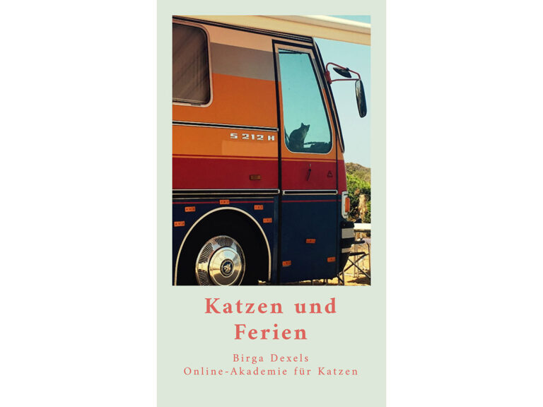 Katzen und Ferien. Katze im Urlaub