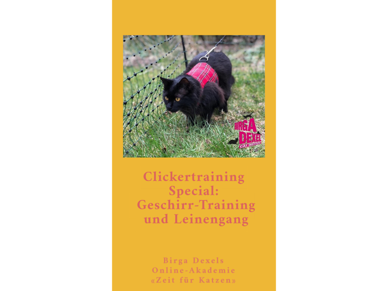 Clickertraining Spezial: Geschirrtraining und Leinengang