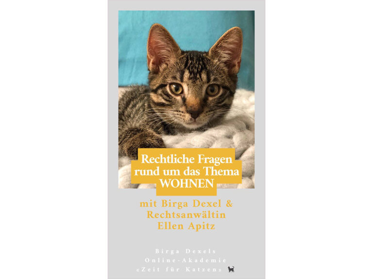 Rechtliche Fragen Wohnen mit Katzen