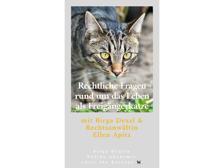 Rechtliche Fragen rund um das Leben als Freigängerkatze