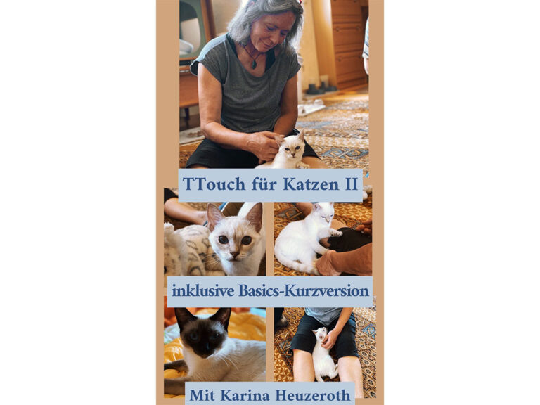 Tellington-Touch für Katzen Vertiefung (2)