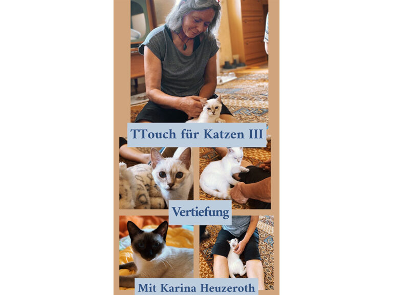 Tellington-Touch für Katzen Vertiefung (3)