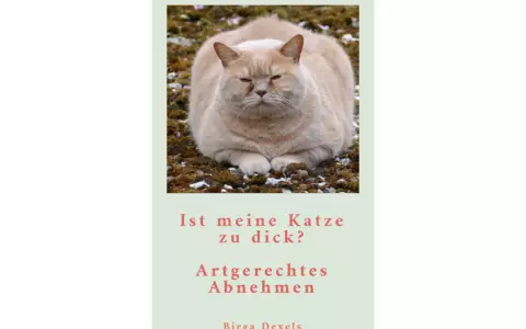 Übergewicht bei Katzen