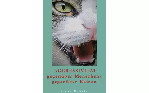 Aggressivität bei Katzen