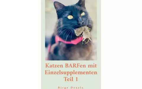 Katzen BARFen für Einsteiger 