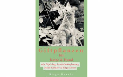 Giftige Pflanzen für Katzen