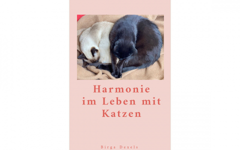 Harmonie im Leben mit Katzen