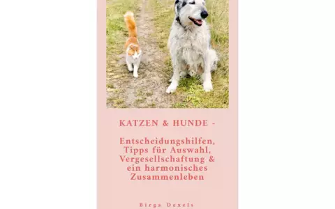 Wie Hund und Katze?