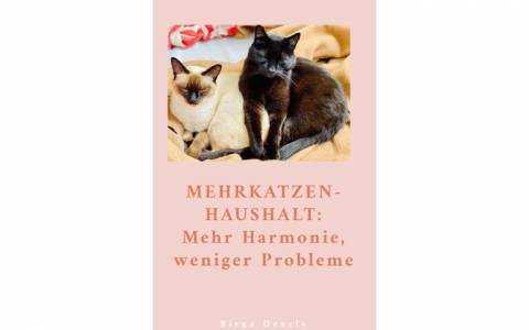 Mehrkatzenhaushalt - mehrere Katzen halten 