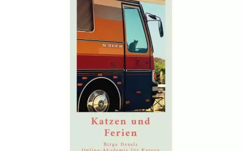 Katzen und Ferien. Katze im Urlaub