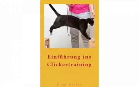 Einführung ins Clickertraining mit Katzen