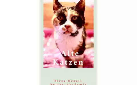 Alte Katzen