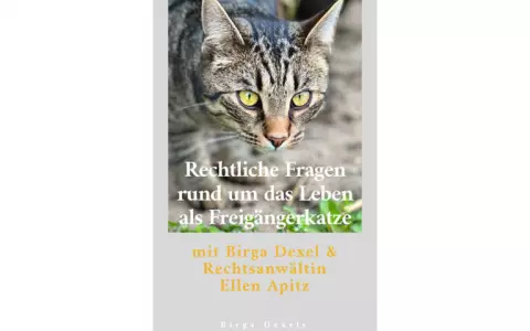 Rechtliche Fragen rund um das Leben als Freigängerkatze