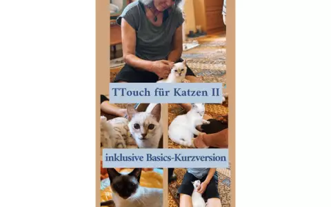 Tellington-Touch für Katzen Vertiefung (2)