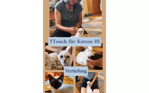 Tellington-Touch für Katzen Vertiefung (3)