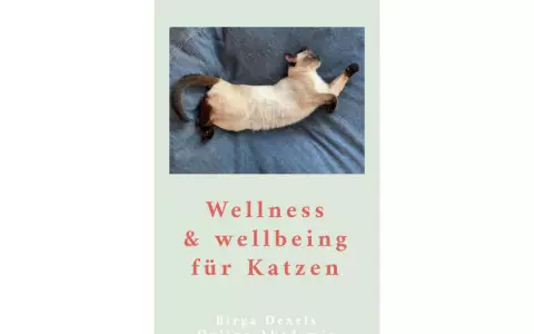 Wellness & Well-being für Katzen